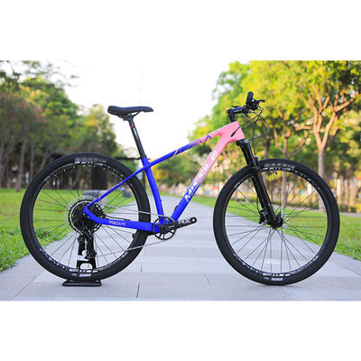 29 inch Mountainbike met aluminium rand en koolstof frame van Original