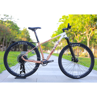 Hydraulische schijfrem met bergfiets met 29 inch grote wielen en 160 mm remplak