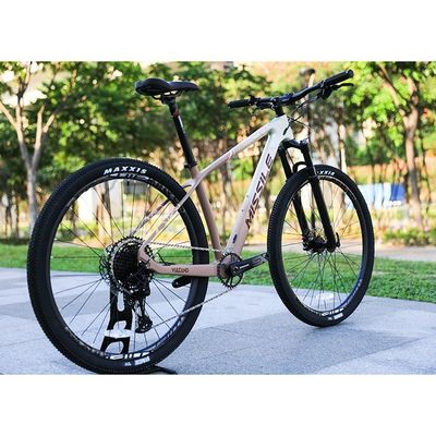 Aluminiumfork 29 inch mountainbike met hydraulische schijfrem en voorvering