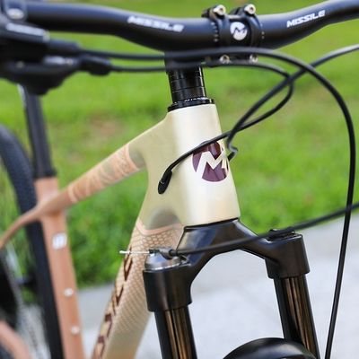 Aluminiumfork 29 inch mountainbike met hydraulische schijfrem en voorvering