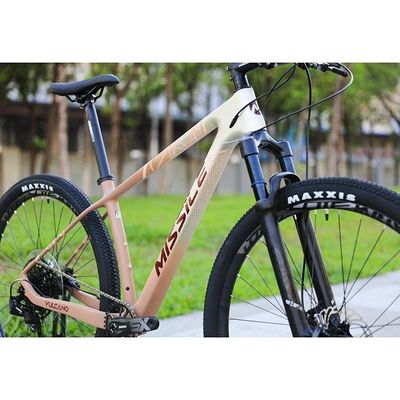 Mensen 29 inch mountainbike met YBN S12S keten en koolstofvezel frame