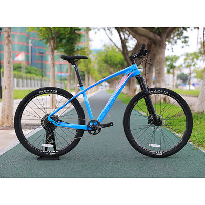 29 inch MTB koolstofvezel bergfiets met YBN S12S keten en 160mm remplaatjes