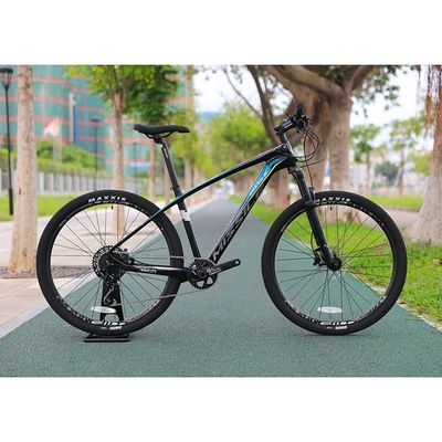 Fietsfietsen 29 inch MTB Mountain Bike Bicicleta Fiets met aluminium legering vork materiaal