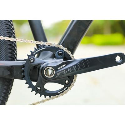 MTB 29 inch aluminium bergfiets met 12 snelheid schijfrem Afdaling fiets