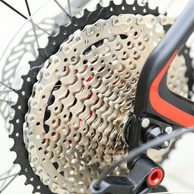 29 inch Support OEM Mountain Bike met YBN S12S Chain 12 Speed MTB 2022 Hard Frame