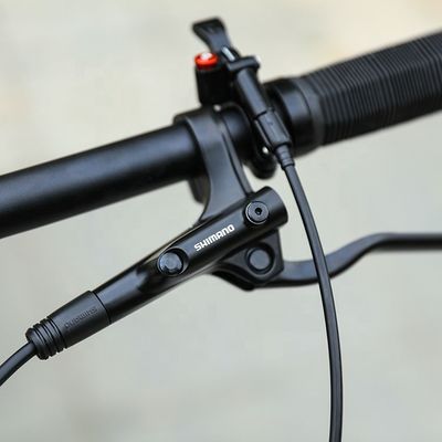 29 inch Support OEM Mountain Bike met YBN S12S Chain 12 Speed MTB 2022 Hard Frame