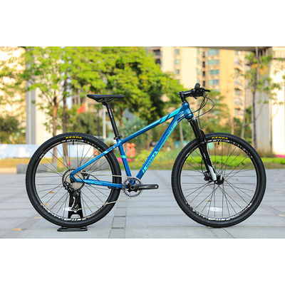 29er Speed Mountain Bike met aangepast koolstofvezel frame en Prowheel TEN-M601 Crankset