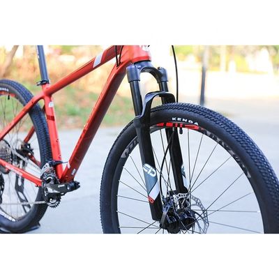 27.5 inch Aluminium Mountain Bike voor volwassenen SMN M6000-30Speed Derailleur Lever