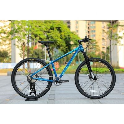 Hoge configuratie 30 snelheid 29 inch koolstofvezel bergfiets met SMN M6000-30Speed