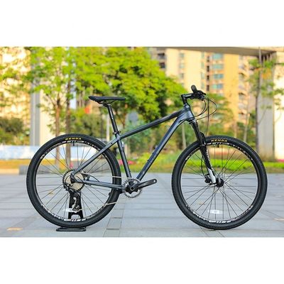 Volledig schokbestendig frame 29" MTB Mountain Bike met Remote Lockout Olie Spring Fork
