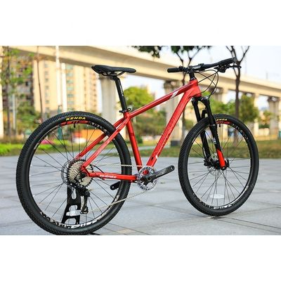 Aluminium legering pedaal 24 snelheid 29 inch Mountain Bike 29er Fiets Custom Made Easy Probeer