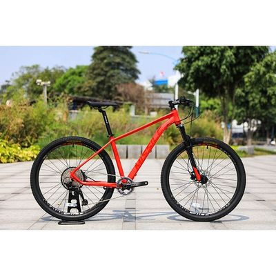 150 kg laadvermogen 29 inch koolstofvezel bergfiets met 30 snelheidsversnellingen en ontwerp