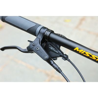 29' Carbon Frame MTB Bike Fiets met gewoon pedaal en Customized OEM Customization