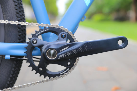 Duurzame 11 versnellingen olie rem bergfiets met hoge kosten prestaties en gewone pedaal