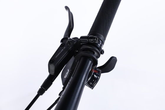 Ononderbroken fiets Mountainbike met Sus Fork Vergrendelbare vork en cassette voor schijfremknop