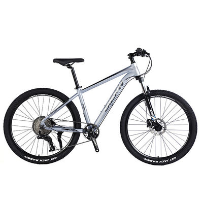 Voor- en achterwiel schijfrem Mountain Bike 26/27.5/29 inch met holle ketenwiel 13s