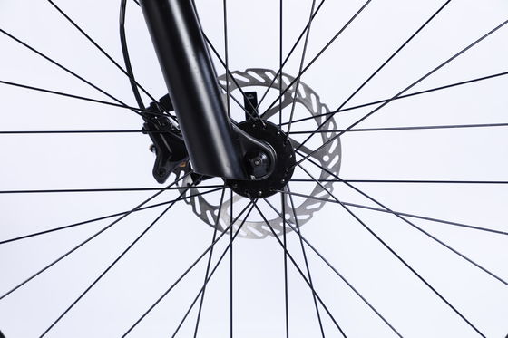 Voor- en achterwiel schijfrem Mountain Bike 26/27.5/29 inch met holle ketenwiel 13s