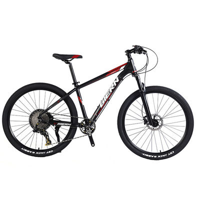 Custom Carbon Fiber Frame Mountain Bike fiets met Ltwoo A12 12s versnelling 26/27.5/29 inch