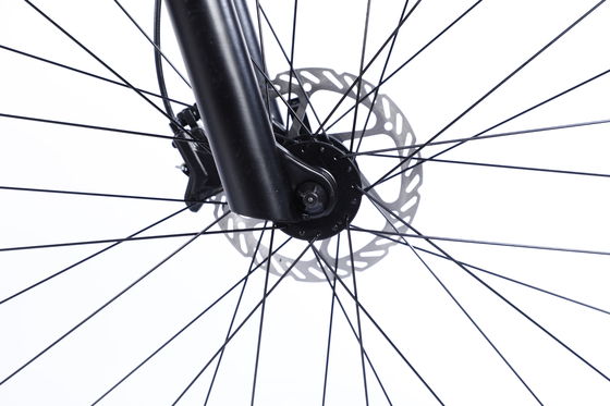 Custom Carbon Fiber Frame Mountain Bike fiets met Ltwoo A12 12s versnelling 26/27.5/29 inch