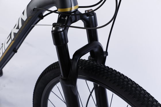 Custom Carbon Fiber Frame Mountain Bike fiets met Ltwoo A12 12s versnelling 26/27.5/29 inch