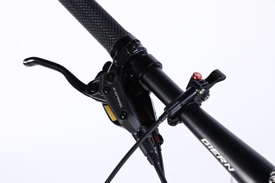 Custom Carbon Fiber Frame Mountain Bike fiets met Ltwoo A12 12s versnelling 26/27.5/29 inch