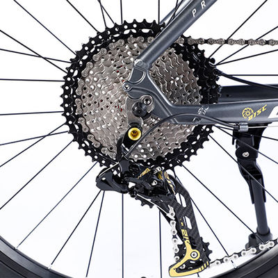 Custom Carbon Fiber Frame Mountain Bike fiets met Ltwoo A12 12s versnelling 26/27.5/29 inch