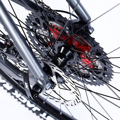 Custom Carbon Fiber Frame Mountain Bike fiets met Ltwoo A12 12s versnelling 26/27.5/29 inch