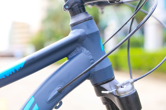 Verstelbare bergfiets voor volwassenen 13,9kg Fietsgewicht Voor- en achterschijfrem