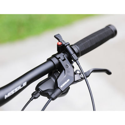 29" koolstofvezel bergfiets voor volwassenen met zonneschijn 11-50T 12speed HG cassette
