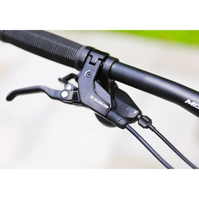 29" koolstofvezel bergfiets voor volwassenen met zonneschijn 11-50T 12speed HG cassette