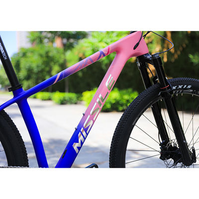 Carbon Fiber Construction Mountain Bike voor volwassenen 29 inch Aluminium Alloy Fork
