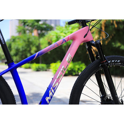 Carbon Fiber Construction Mountain Bike voor volwassenen 29 inch Aluminium Alloy Fork