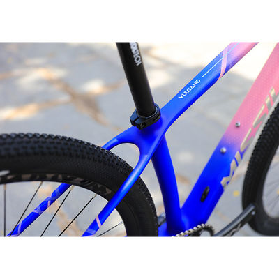 Carbon Fiber Construction Mountain Bike voor volwassenen 29 inch Aluminium Alloy Fork