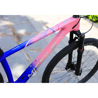 Carbon Fiber Construction Mountain Bike voor volwassenen 29 inch Aluminium Alloy Fork