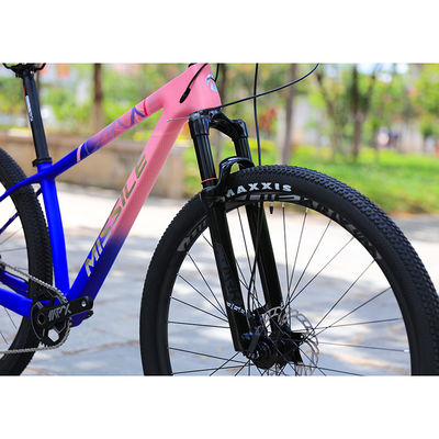 Carbon Fiber Construction Mountain Bike voor volwassenen 29 inch Aluminium Alloy Fork
