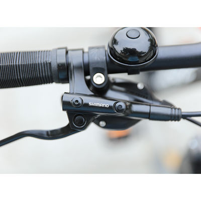 Goede mountainbike met 130 ladingcapaciteit en zonneschijn 11-50T 24speed HG cassette
