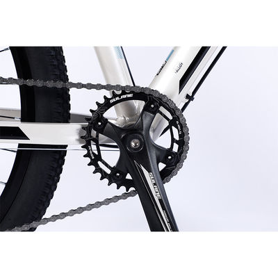 Double Wall Rim 29 Inch Mountain Bike voor volwassenen op de weg rijden