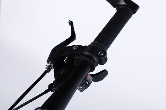 Gewone pedaal 26 inch Mountain Bike uitgerust met Ltwoo A11 11s Gear en koolstofstaal