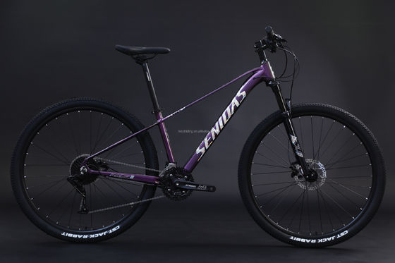 Rigid Frame 29inches Mountain Bike Aluminium Alloy Frame Mountain Bike 3*10s RTS