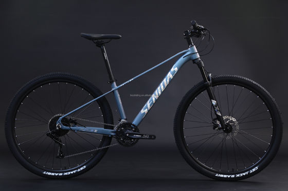 Rigid Frame 29inches Mountain Bike Aluminium Alloy Frame Mountain Bike 3*10s RTS