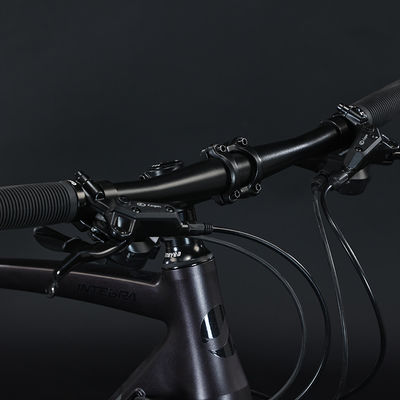 700*35C band flat bar adventure bike met gewone pedaal en aluminium vork materiaal