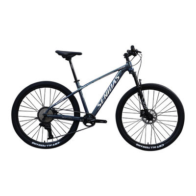 27.5 29 Fiets Marlin 10 snelheid aangepaste volwassen bergfiets met en gewoon pedaal