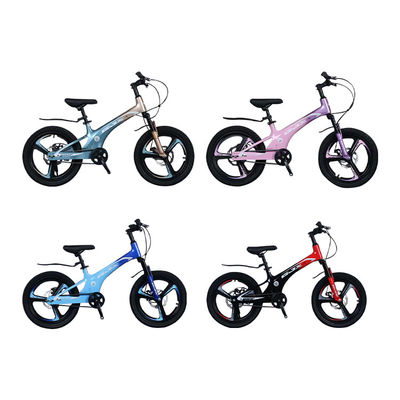 Bergfiets met 21 versnellingsbakken en frame van magnesiumlegering