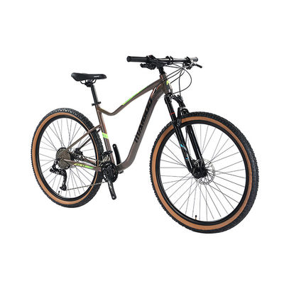 29" Suspension Aluminium Alloy Frame Fiets 2*11s Skin Wall Tire MTB