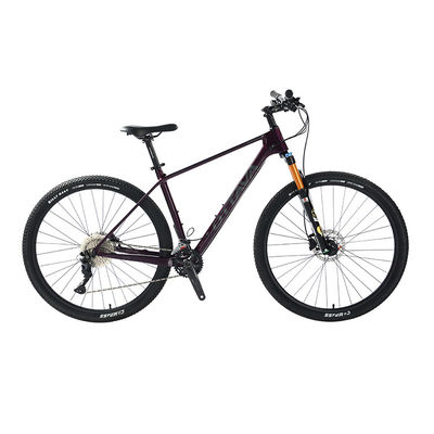 29" Carbon Fiber Mountain Bike met Shimano 22s Deore onderdelen Aanpasbaar