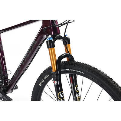 29" Carbon Fiber Mountain Bike met Shimano 22s Deore onderdelen Aanpasbaar