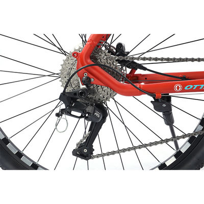22 Speed Frame Mountainbike voor mannen en vrouwen zonder voorde derailleur