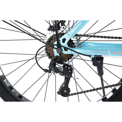 Mechanische schijfrem 21 snelheden Stalen frame Mountain Road Bike voor stadsreisfiets