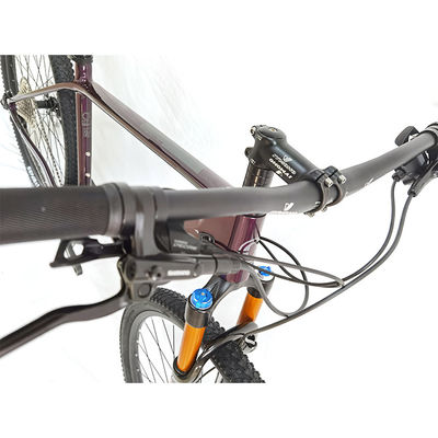 Snelheid Lichte koolstofvezel wegfiets met eenpersoonsversnellingen