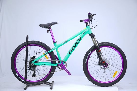 150 kg laadvermogen Sport mountainbike staal vork en gewone pedaal voor rij-ervaring